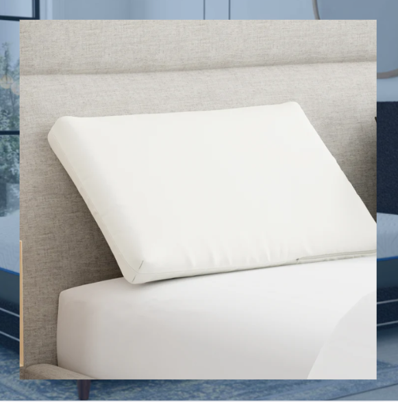 Stomach Sleeper, Low Profile Pillow