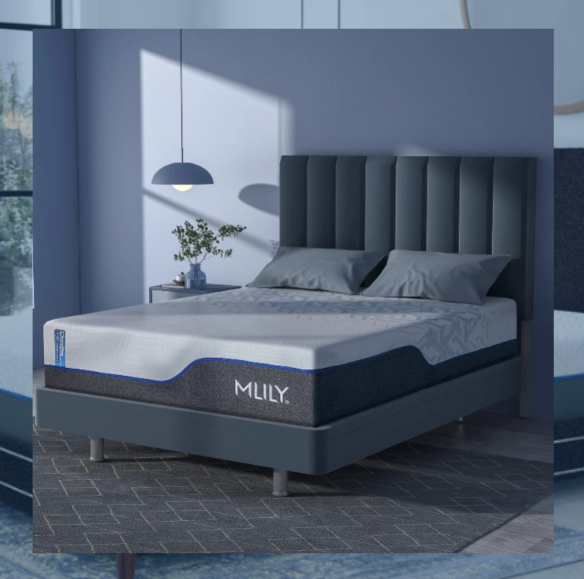 ChiroPro Hybrid Mattress 3.0 - Plush
