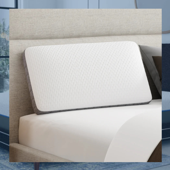 Bamboo Charcoal & Charcoal Cooling Gel Pillow